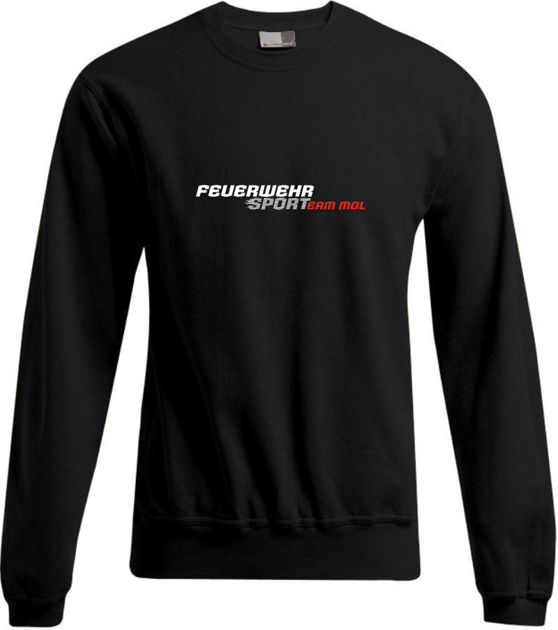 Sweater Team MOL