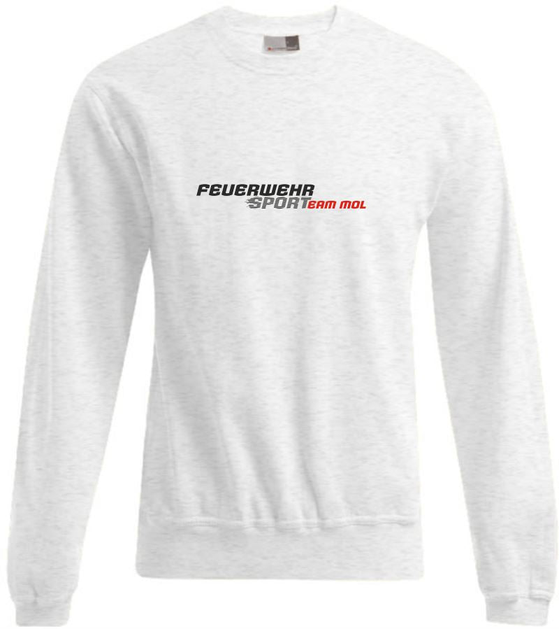 Sweater Team MOL